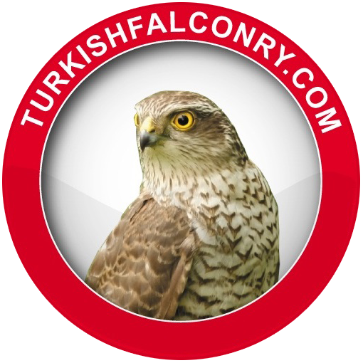 Turkish Falconry